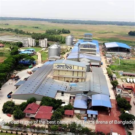 Contact – Mega Feed & Spectra Hexa Feeds Limited.